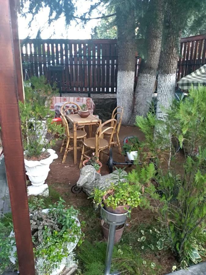 Durmitor Apartment Kumanovo Ngoại thất bức ảnh